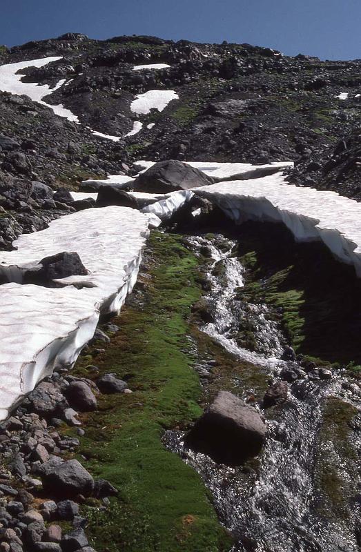 1984-030 Glacier Pk Aug-1984 01.jpg